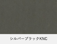 シルバーブラックKNC